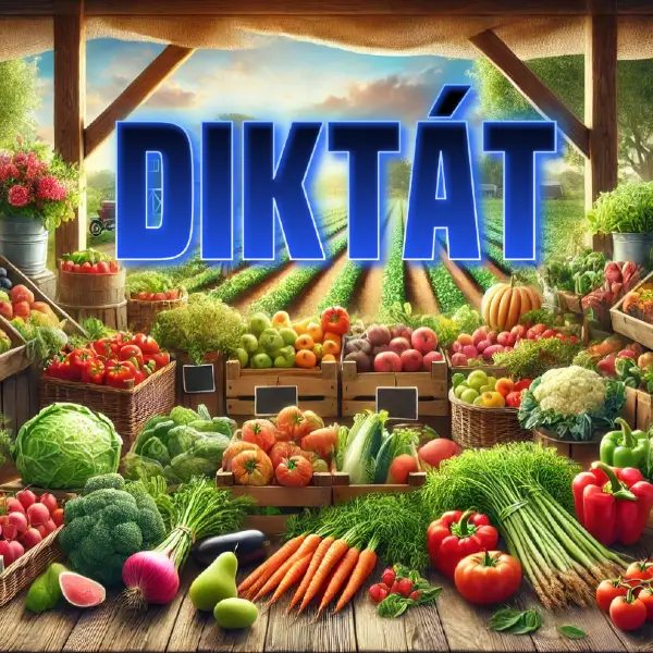 diktát pravopis