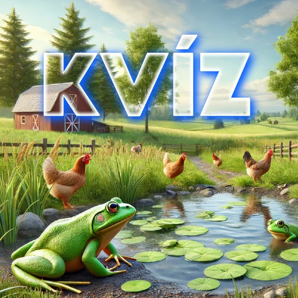 kvíz