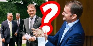 korona hra manazovanie pandemie koronavirus