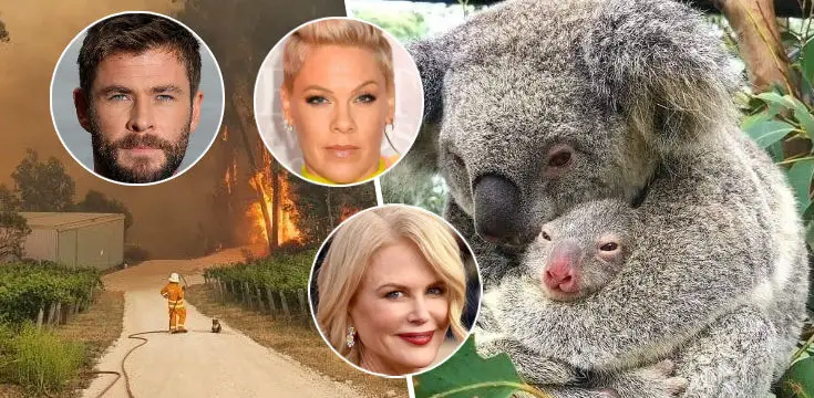 australia poziare zbierka celebrity