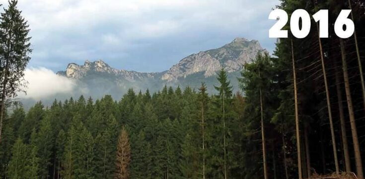 priroda tatry smutny pohlad slovensko lykozrut smrekovy tazba dreva kalamita tatry