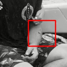 romana košťálová farma matúš polakovič hanbatá snímka zadok instagram piškorky tetovanie