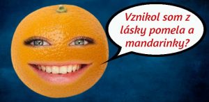 kvíz ako vznikol pomaranč pomelo mandarinka