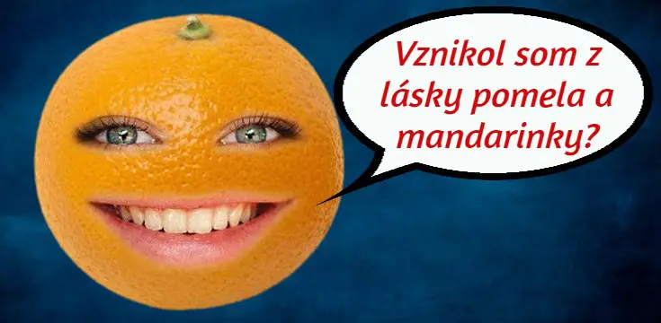 kvíz ako vznikol pomaranč pomelo mandarinka