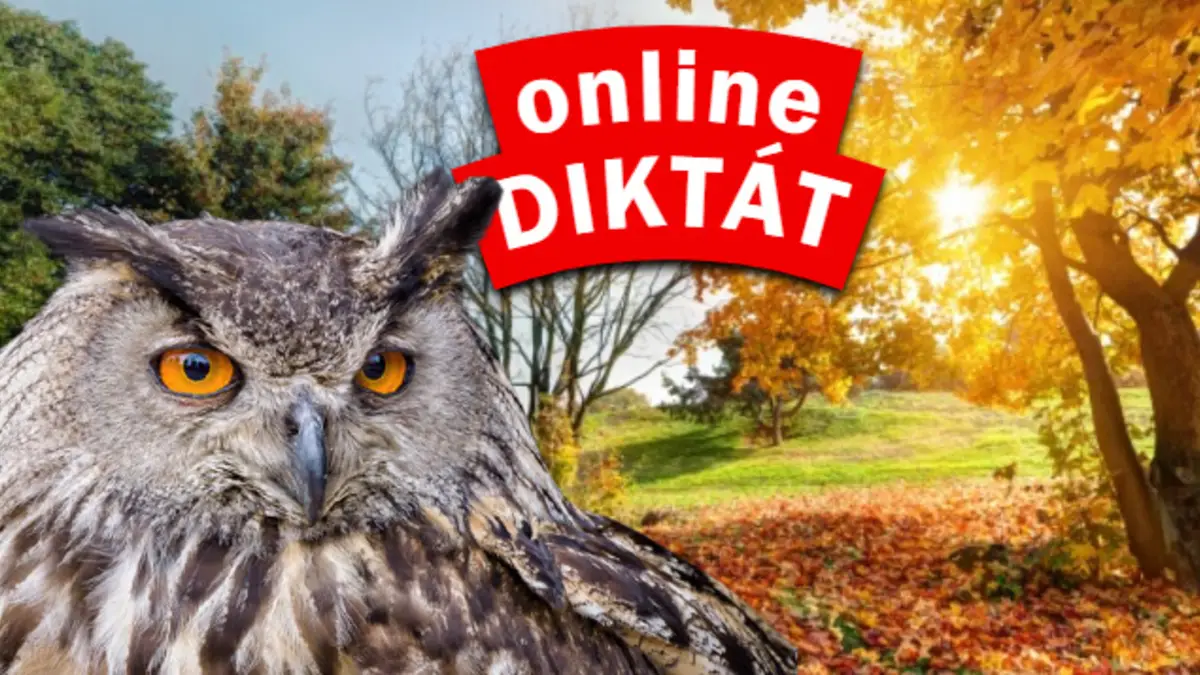 diktát