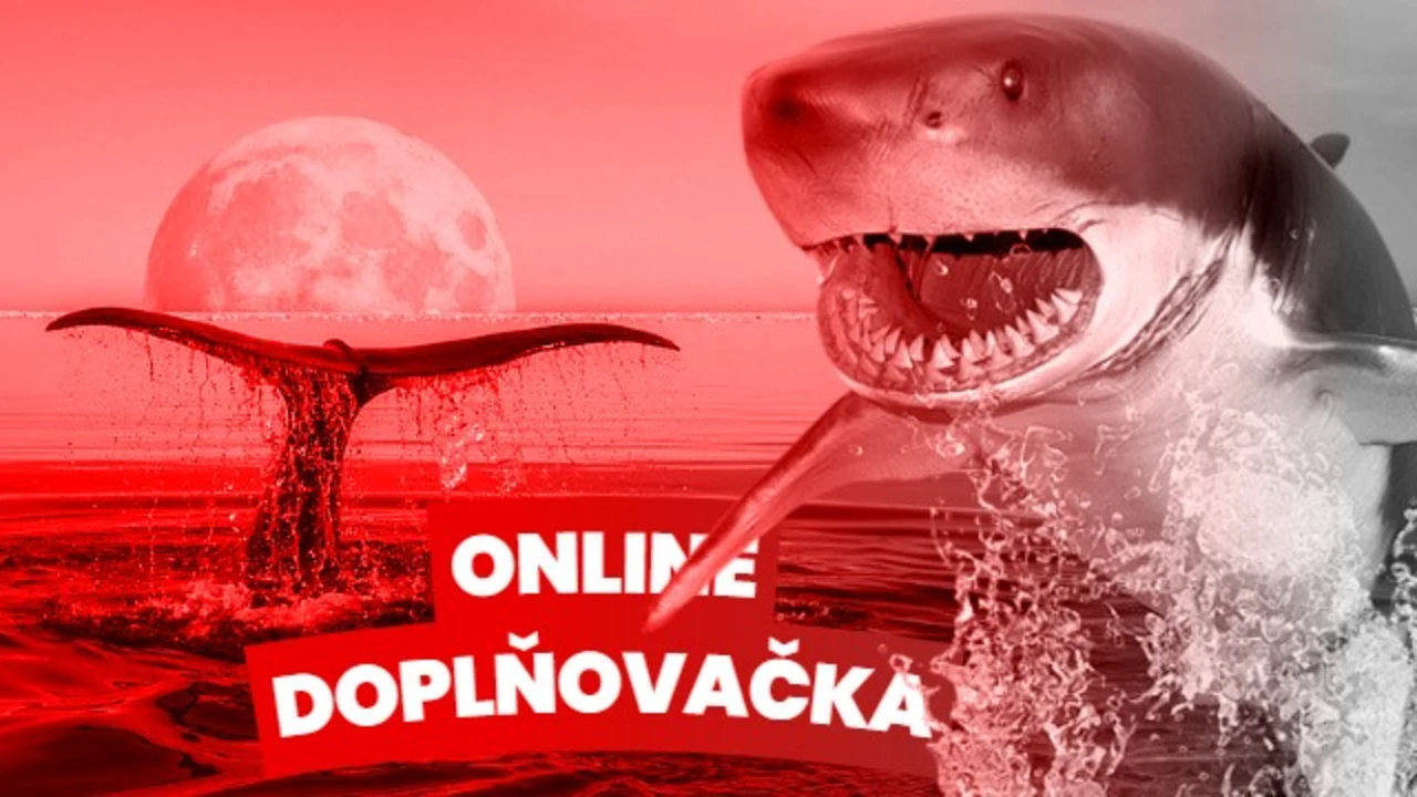 doplnovacka