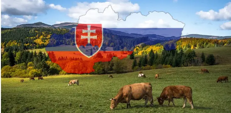 kvíz slovenské mestá Slovensko