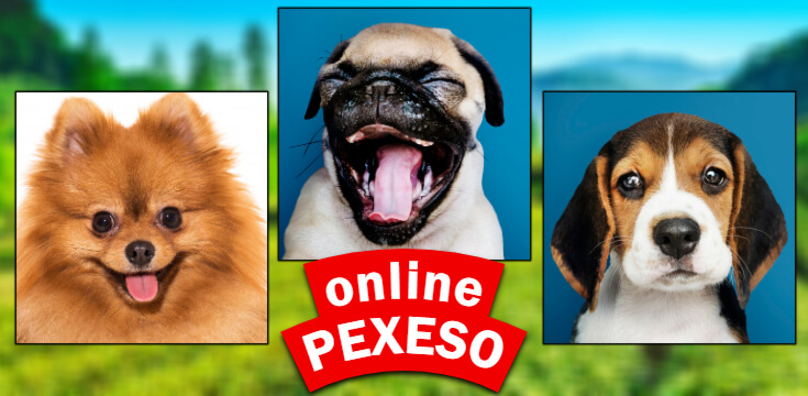 online pexeso psy