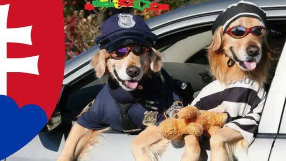 Ako dobre poznáte slovenské ŠPZ-ky? Ukážte svoj prehľad 7 špz