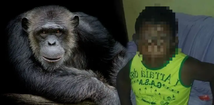 Augusto Dembo žena tvrdí že má syna so šimpanzom syn šimpanz človek