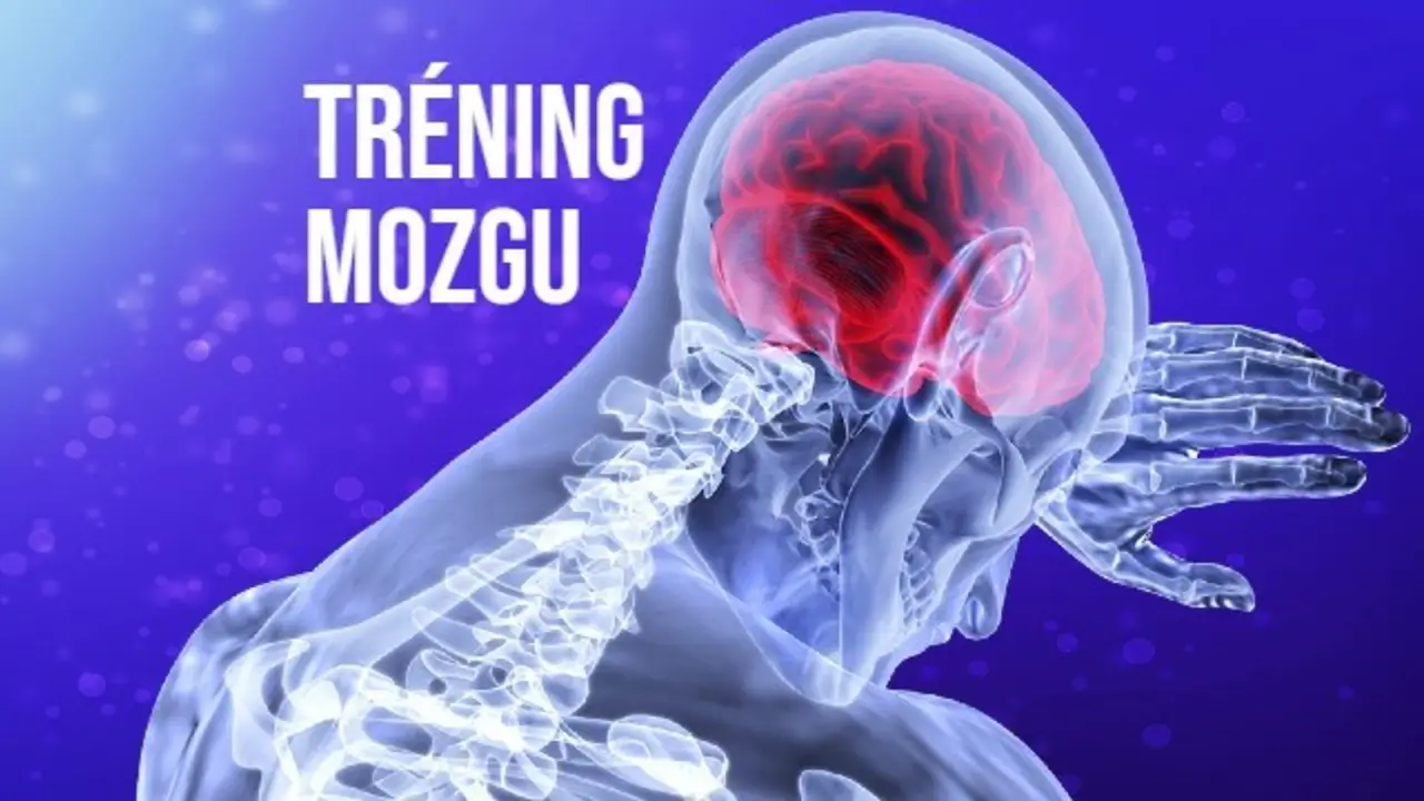 Online tréning mozgu: Zapamätáte si 12 slov v správnom poradí? 1 mozog