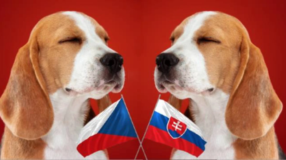 české slová