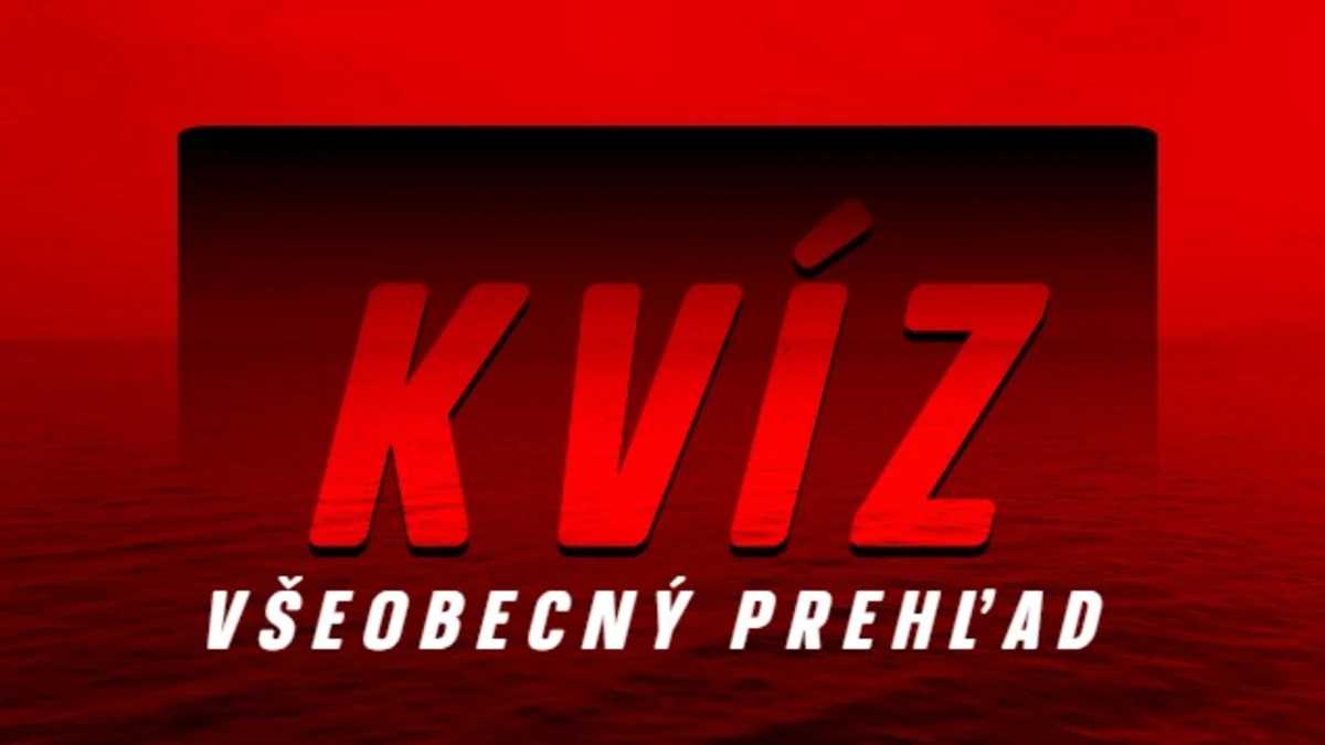 kvízy