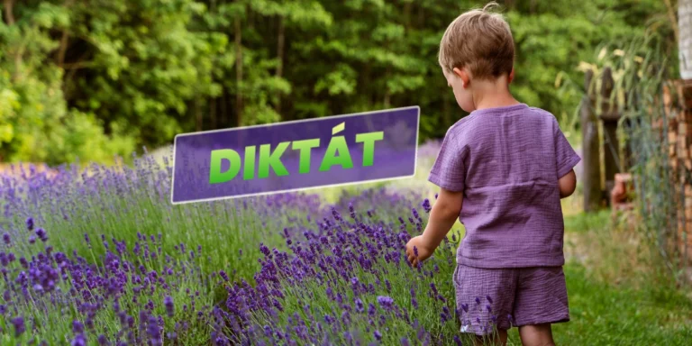 online diktát