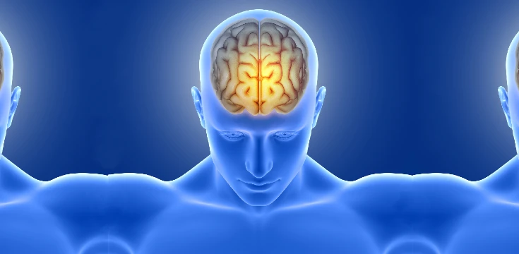 ľudský mozog