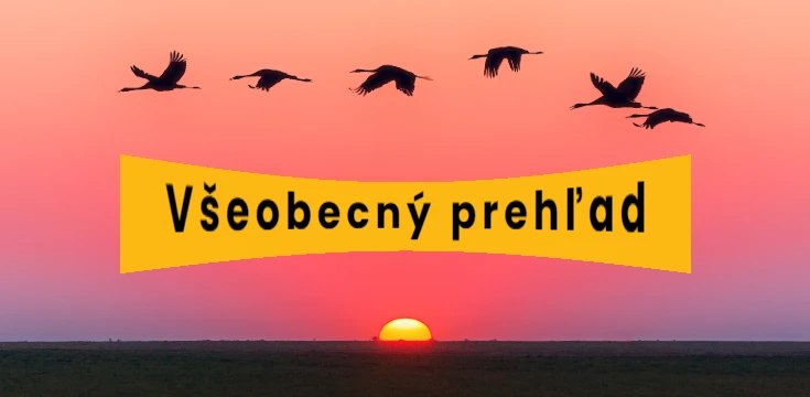 všeobecný prehľad