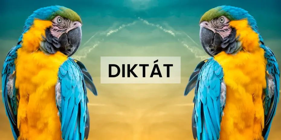 diktát na precvičovanie pravopisu