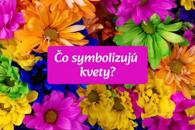 Kvety, ktoré chcete darovať, majú svoje symboly: Poznáte ich? 8 symboly kvetín