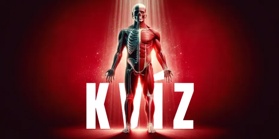 Ako dobre poznáte svoje telo? Prejdite si tento vedomostný kvíz 3 ľudské telo kvíz