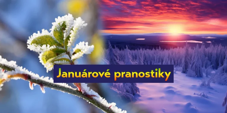 januárové pranostiky