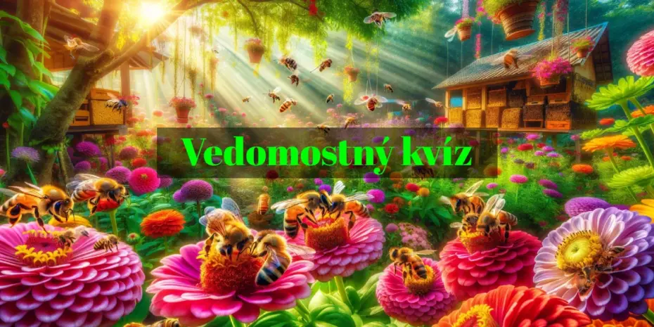 kvíz o včelách