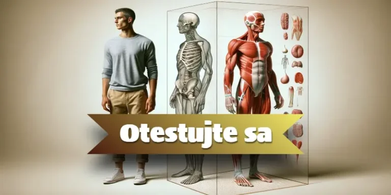 Kvíz o ľudskom tele