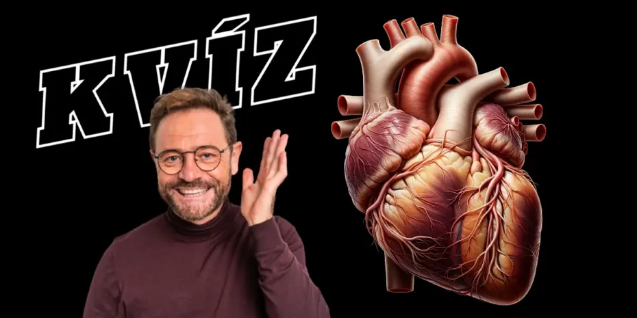 kvíz o srdci