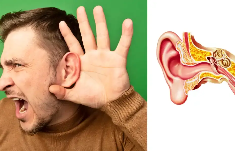 Vedomostný kvíz o sluchu