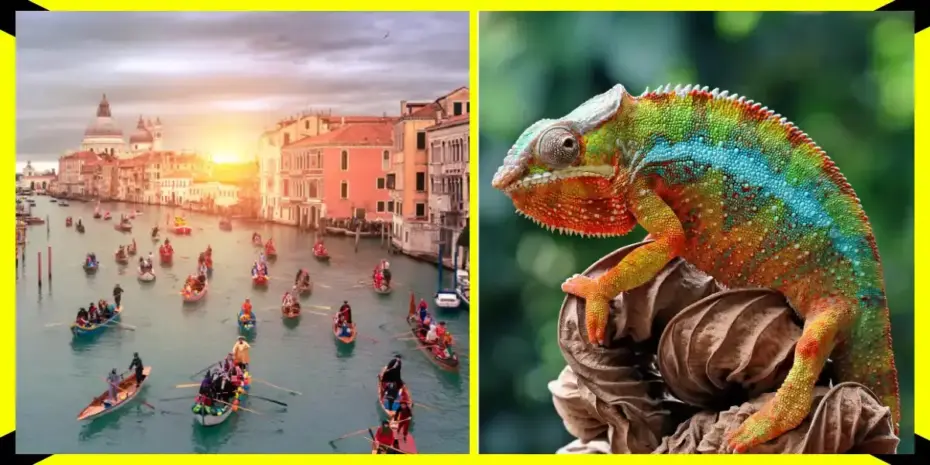 Kvíz na všeobecný prehľad