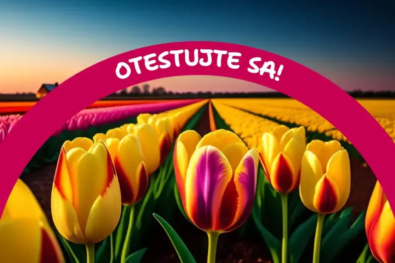 Podoby krstných mien v cudzích jazykoch