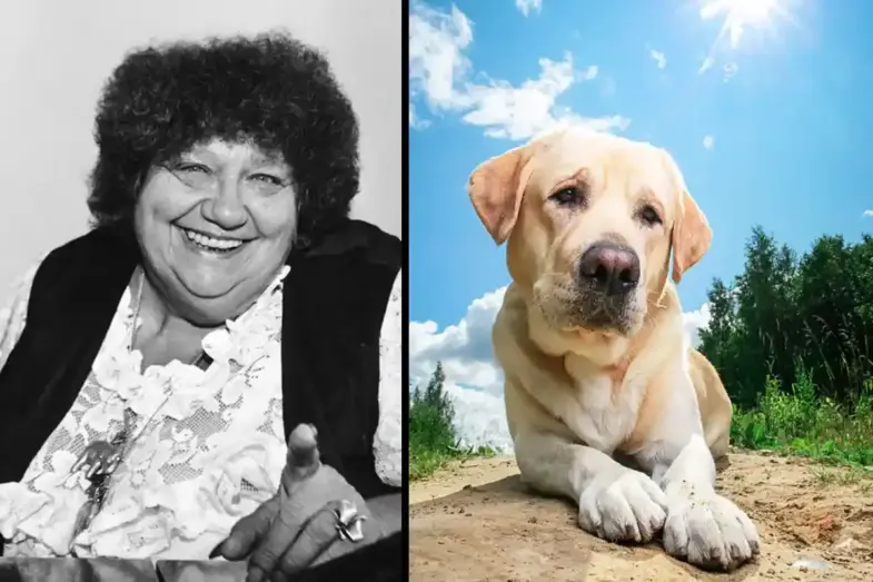 Dokážete správne odpovedať na týchto 10 všeobecných otázok? (#290) 1 Všeobecný kvíz