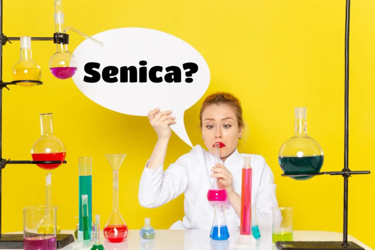 najlepšie online kvízy a testy