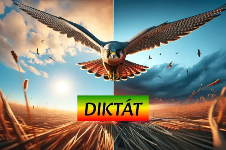 Do krátkeho textu sme ukryli 9 chýb. Koľko ich nájdete? 8 online diktát