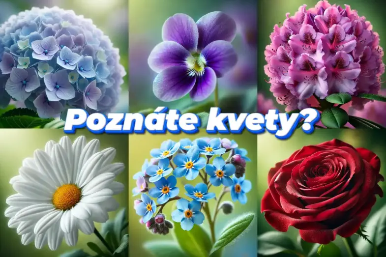 KVÍZ: Uhádnete kvet podľa obrázku? Otestujte si svoje vedomosti 5 kvety podľa obrázkov