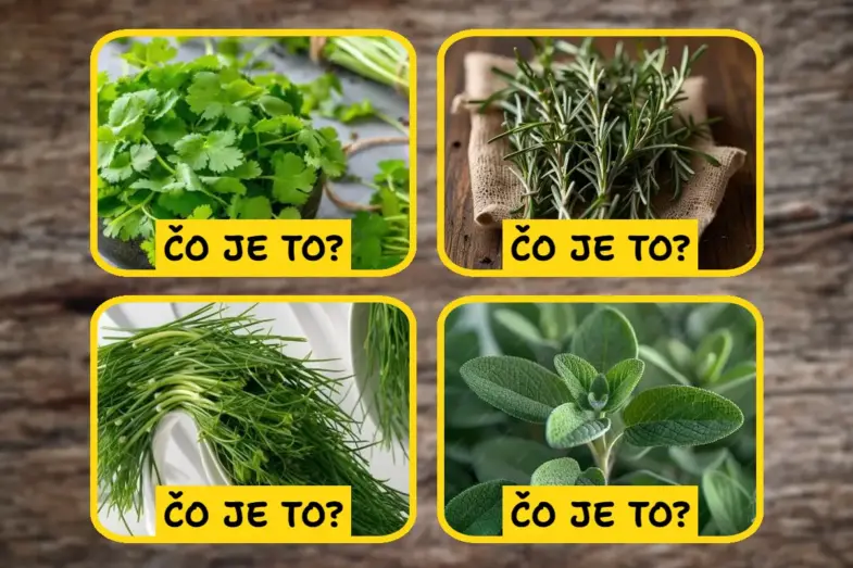 Výzva pre vaše zmysly: Viete rozlíšiť bylinky na týchto obrázkoch? 17 kvíz bylinky