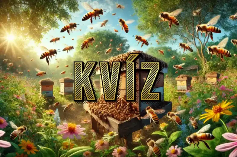 Včely sú jedným z najdôležitejších tvorov na našej planéte: Čo o nich viete? 15 kvíz o včelách
