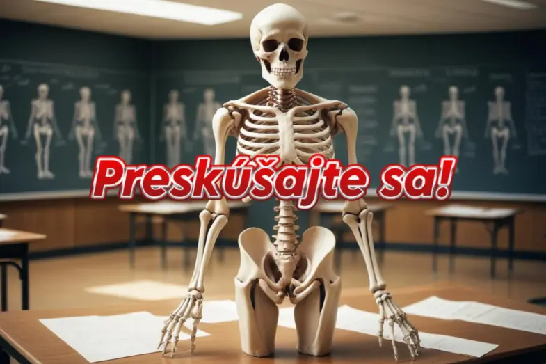 Preverte svoje znalosti o ľudskom tele: Zvládnete tieto otázky? 3 ludske telo kvíz