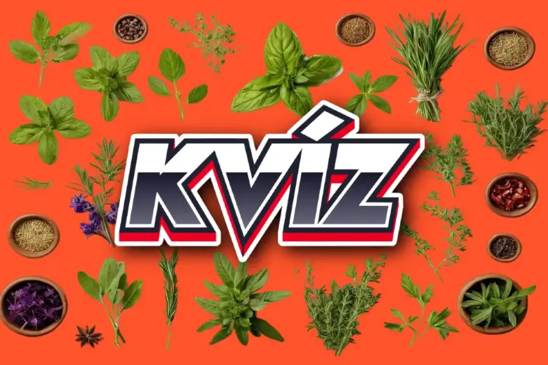 Zvládnete pomenovať bylinky po anglicky? Vyskúšajte tento kvíz a zistite to! 7 názvy byliniek po anglicky kvíz