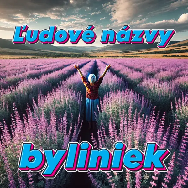 Ľudové názvy byliniek