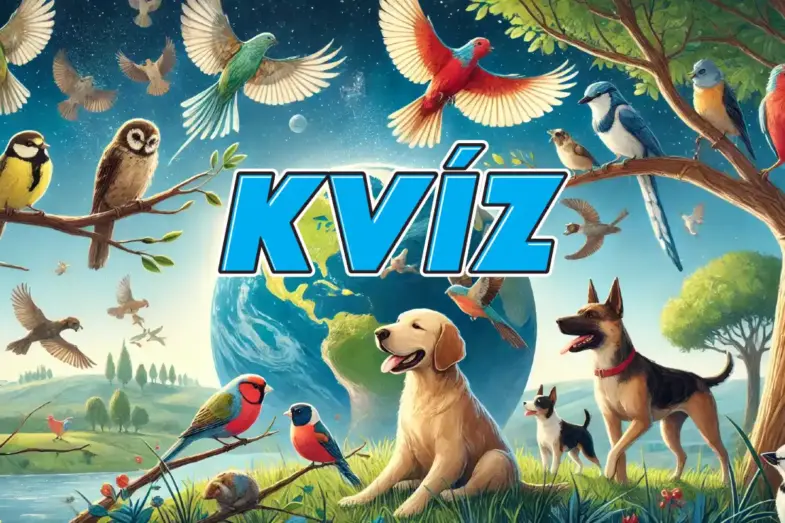 KVÍZ: Viete, čo skúmajú ornitológovia, paleontológovia alebo kynológovia? 19 Vedné disciplíny