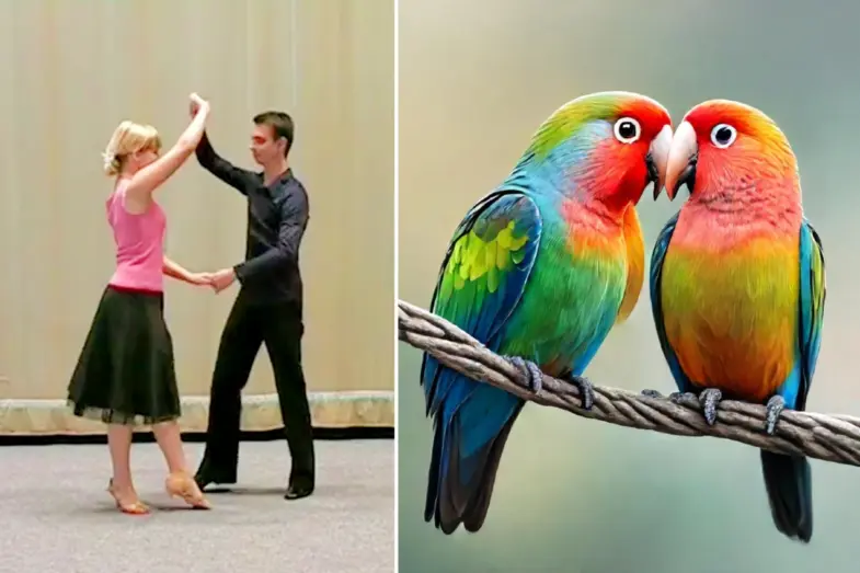 Všeobecný kvíz pre každého: Odpoviete správne na všetky otázky? #408 1 Všeobecný kvíz