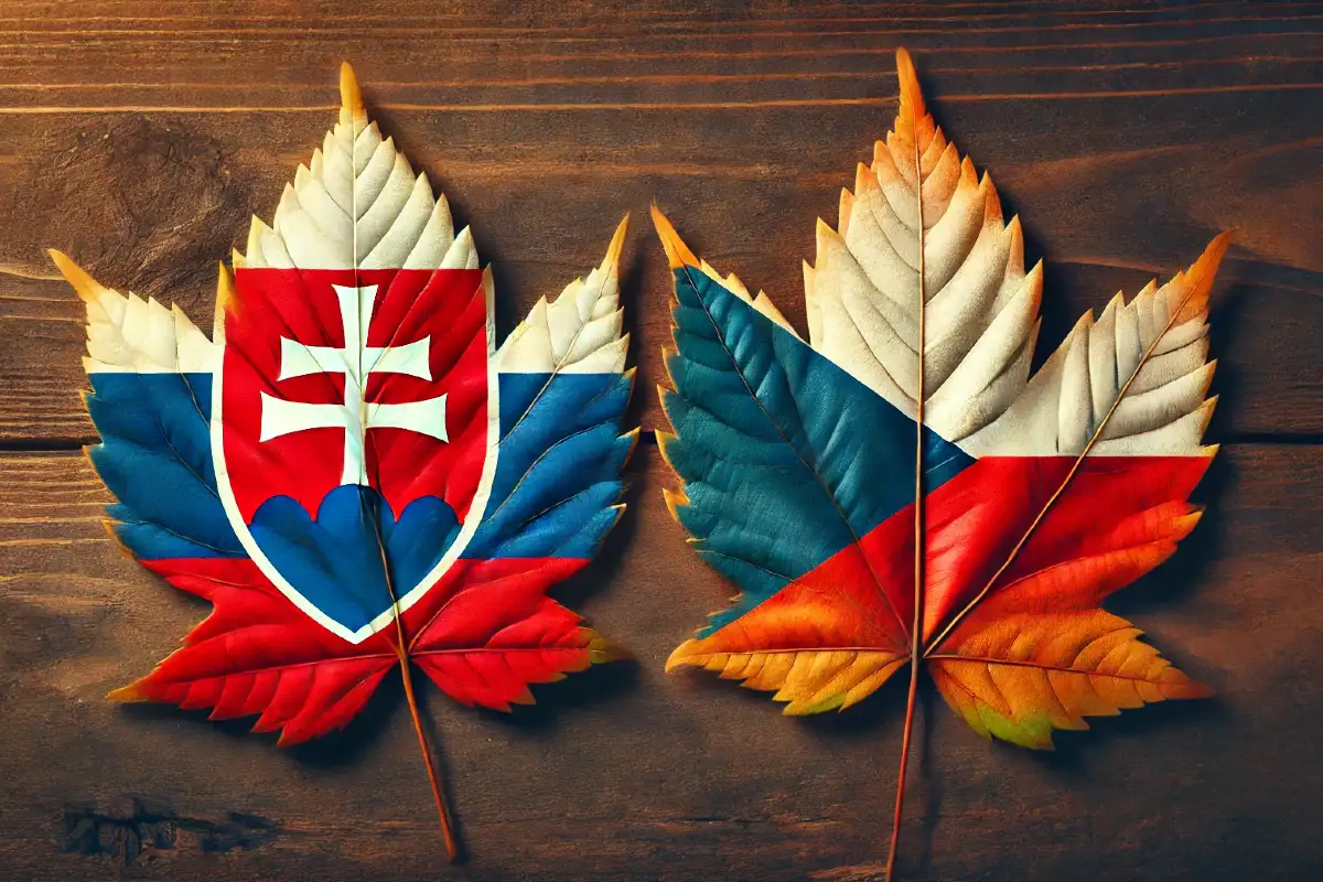 Zvládnete tento kvíz a preložíte všetkých 9 českých slovíčok? 1 české slovíčka kvíz
