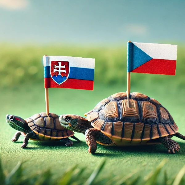 Preklad českých slovíčok do slovenčiny