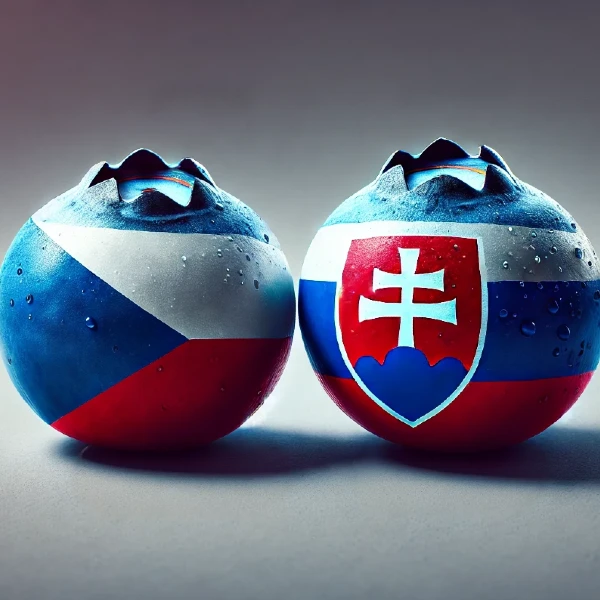 Slovenčina vs. čeština