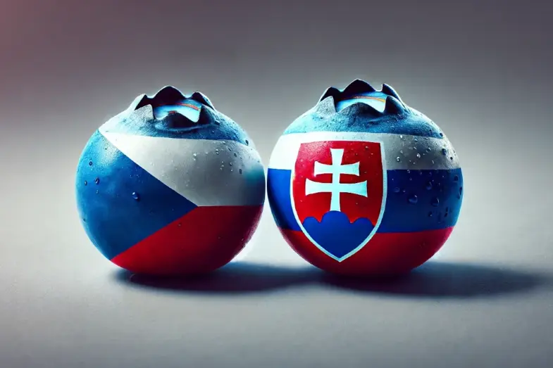 Slovenčina vs. čeština