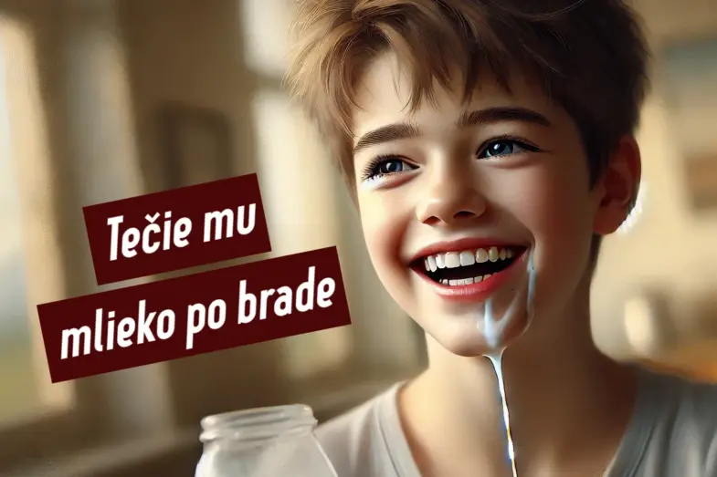 Slovenské frazeologizmy