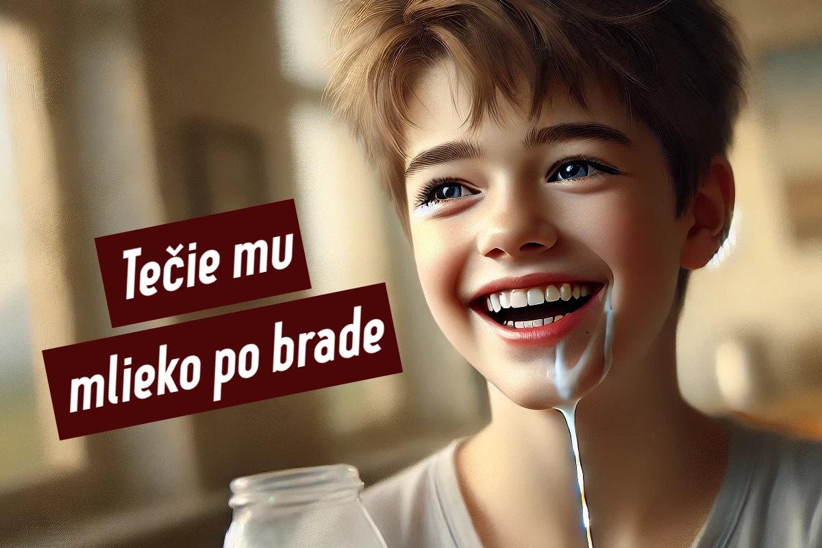 Slovenské frazeologizmy