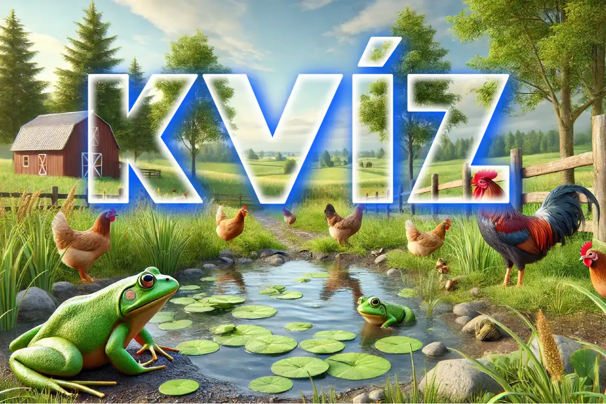 kvíz