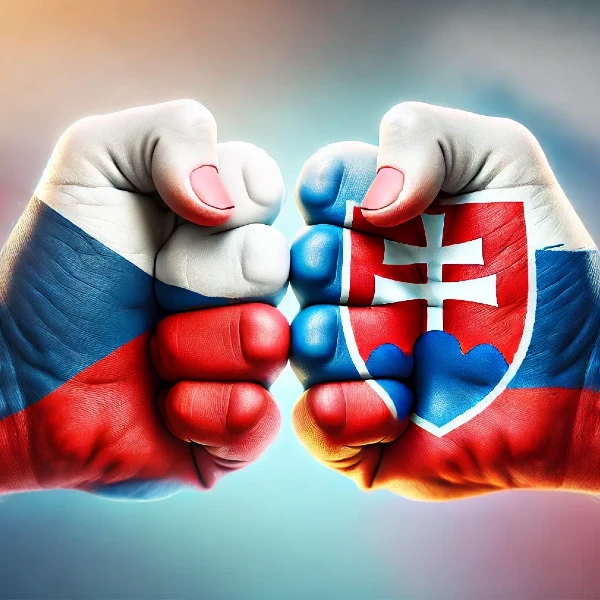 slovenské ekvivalenty českých výrazov