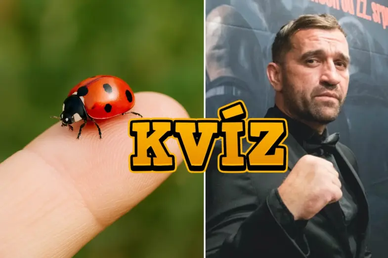 všeobecný kvíz